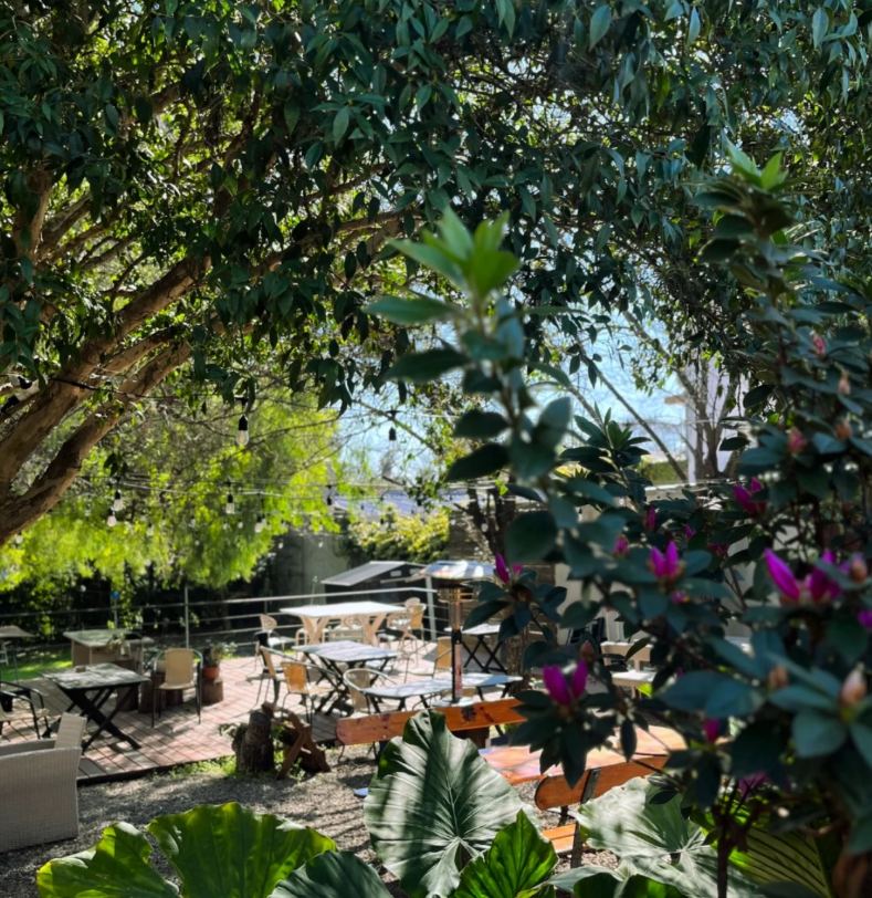 Patio arbolado con mesas, bancos de madera y plantas con flores